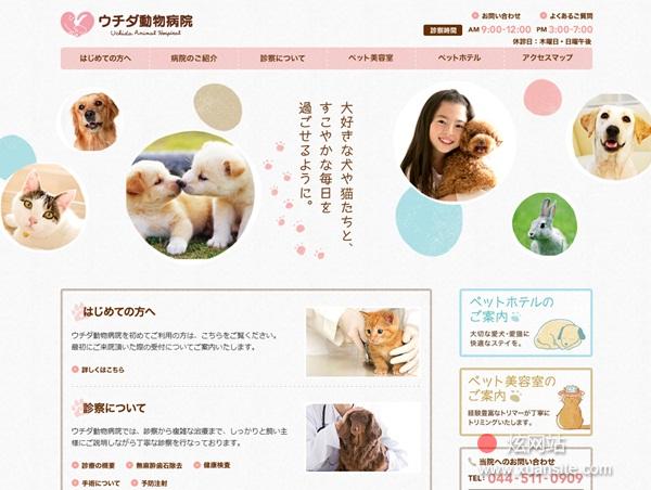 ウチダ动物医院网站的首页截图