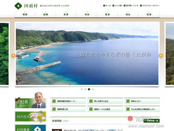 国头村网站的首页截图