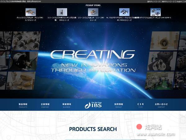 IBS网站的首页截图