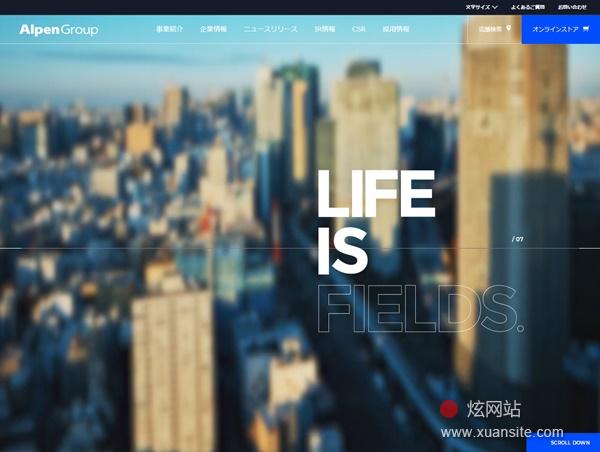 AlpenGroup网站的首页截图