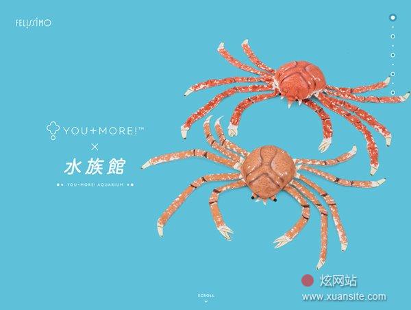 YOU+MORE!×水族馆；菲利西摩网站的首页截图