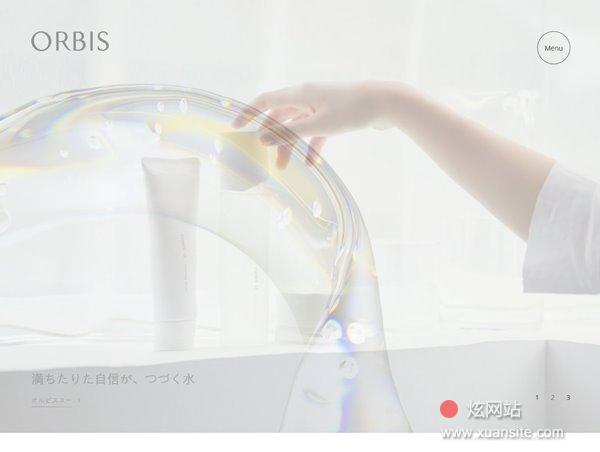 ORBIS网站的首页截图